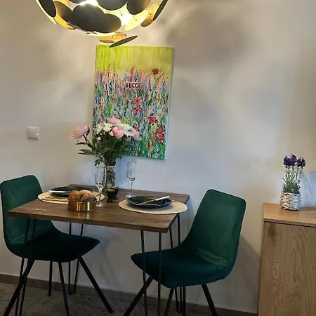 Stilvolles Naehe Messe Duesseldorf In Sued Apartmán Duisburg