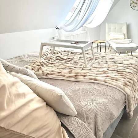 Stilvolles Naehe Messe Duesseldorf In Sued Apartment Duisburg